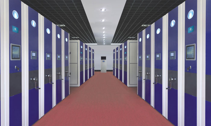 ��ī�T�F��